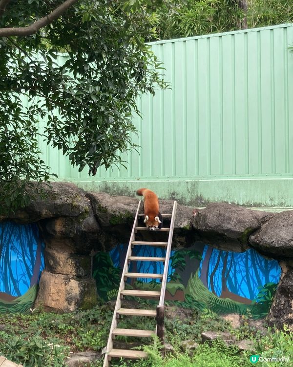 免費動物園！小朋友放電好去處 🥳