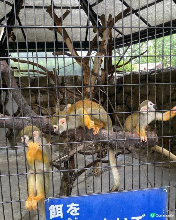 免費動物園！小朋友放電好去處 🥳