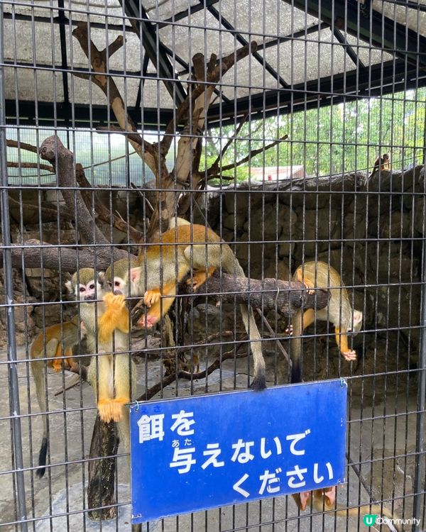 免費動物園！小朋友放電好去處 🥳