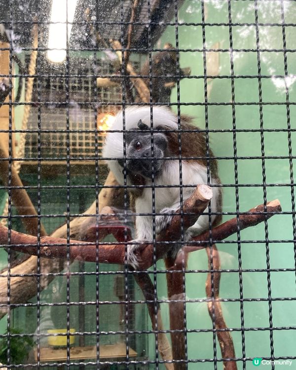 免費動物園！小朋友放電好去處 🥳