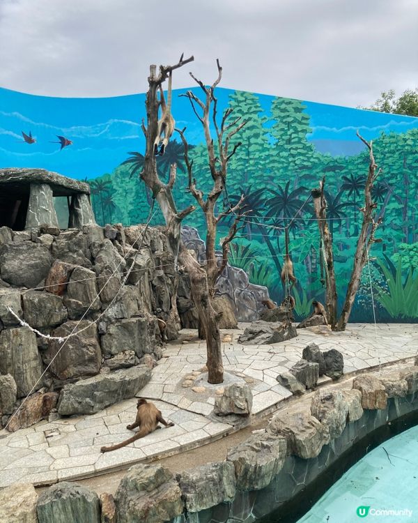 免費動物園！小朋友放電好去處 🥳