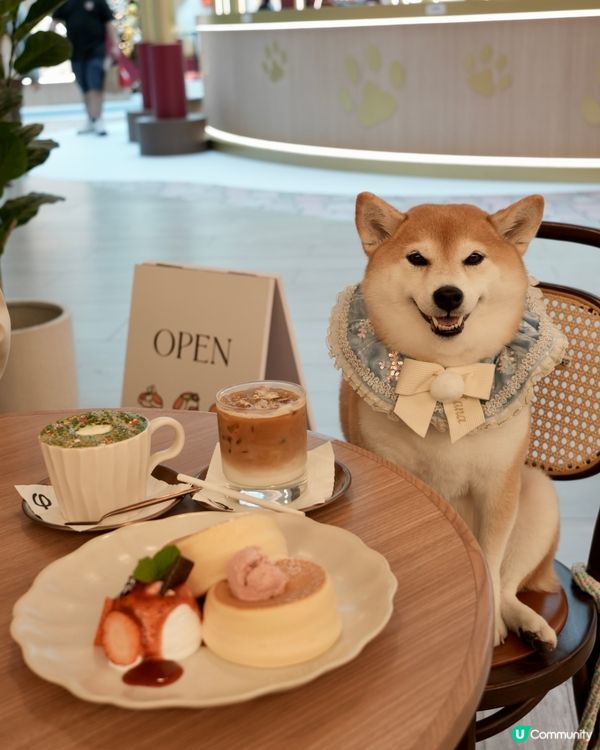 / 帶毛孩食Pancake🥞 \