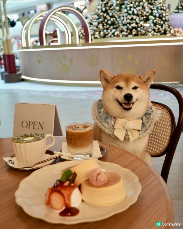 / 帶毛孩食Pancake🥞 \