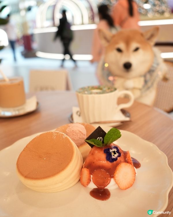 / 帶毛孩食Pancake🥞 \