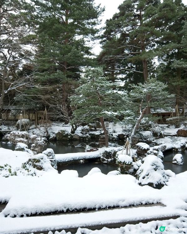 新潟雪景❄️！豪農宅邸打卡📸！