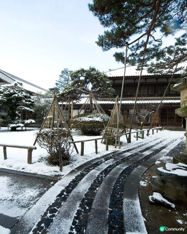 新潟雪景❄️！豪農宅邸打卡📸！