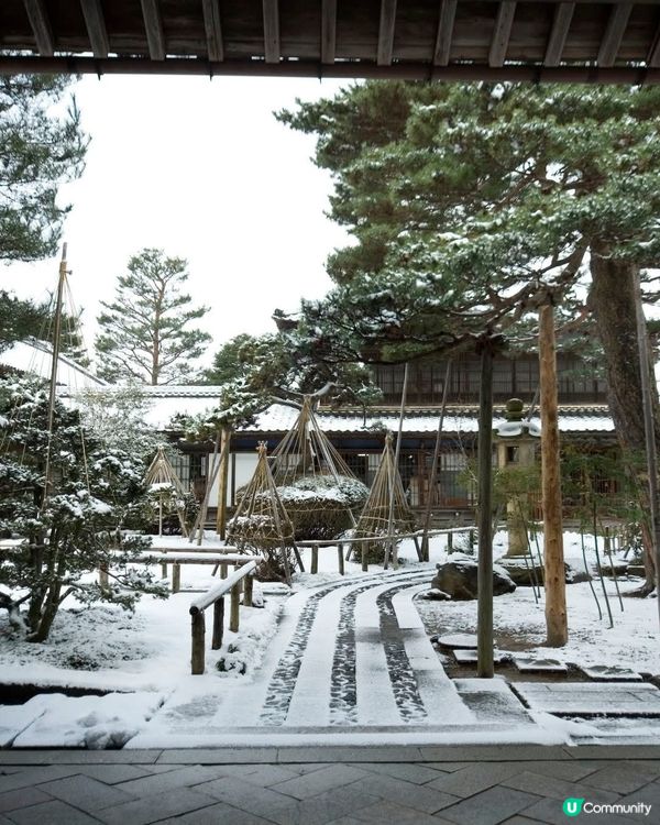 新潟雪景❄️！豪農宅邸打卡📸！