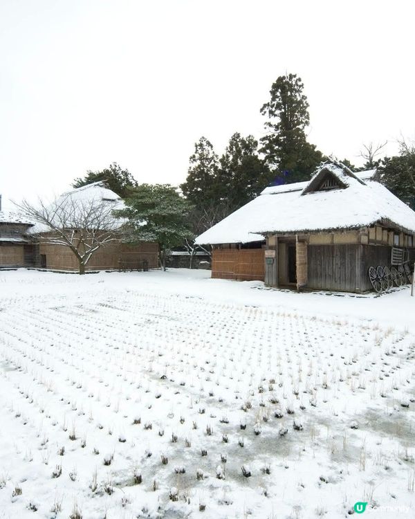 新潟雪景❄️！豪農宅邸打卡📸！