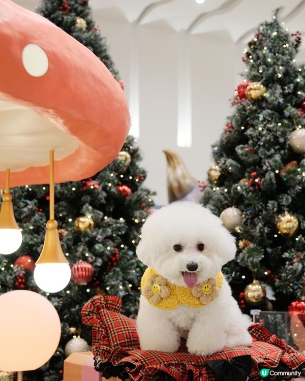 德福廣場聯乘香港設計師