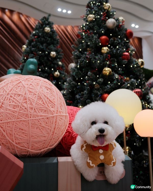 德福廣場聯乘香港設計師