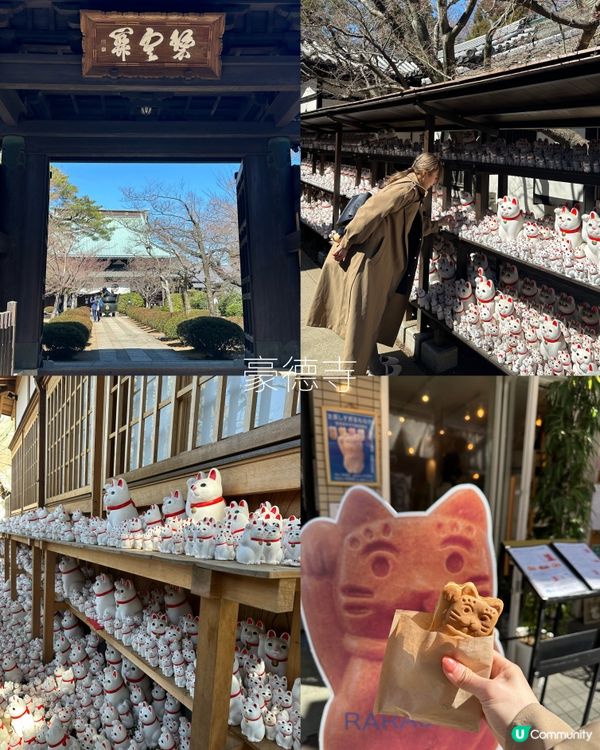 東京自由行🗼市區推薦行程