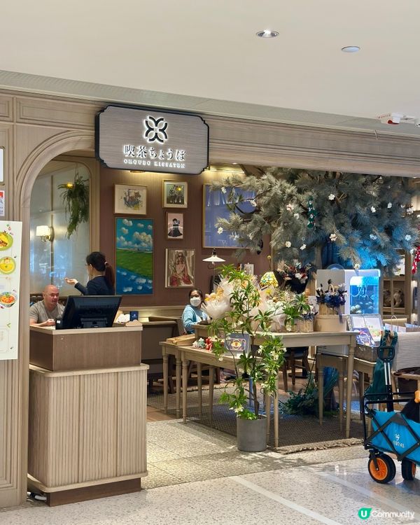 銅鑼灣喫茶打卡📸！白雪椿蛋包飯超正😋！