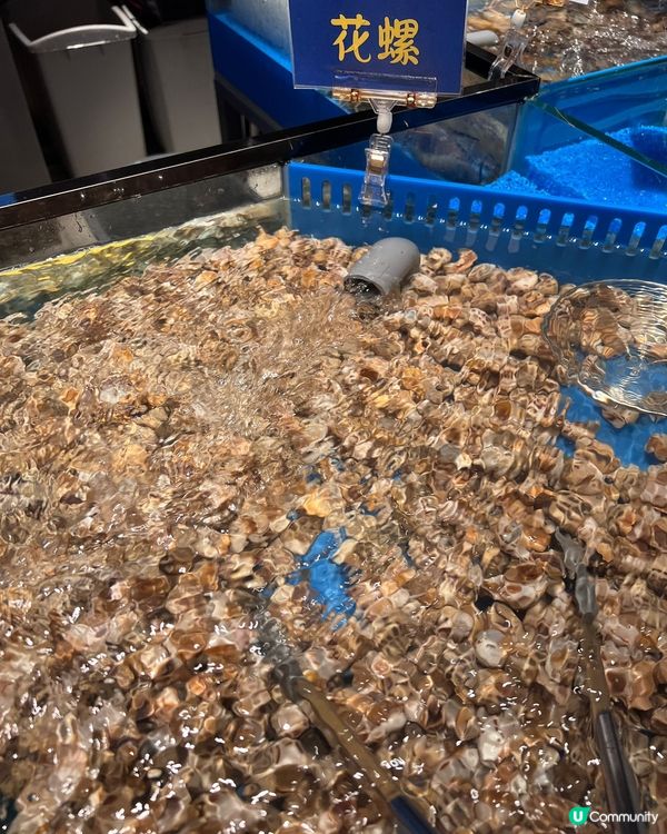 銅鑼灣新開任食放題🤤海鮮控必去🦀🦐