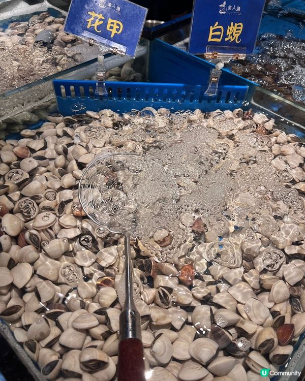 銅鑼灣新開任食放題🤤海鮮控必去🦀🦐