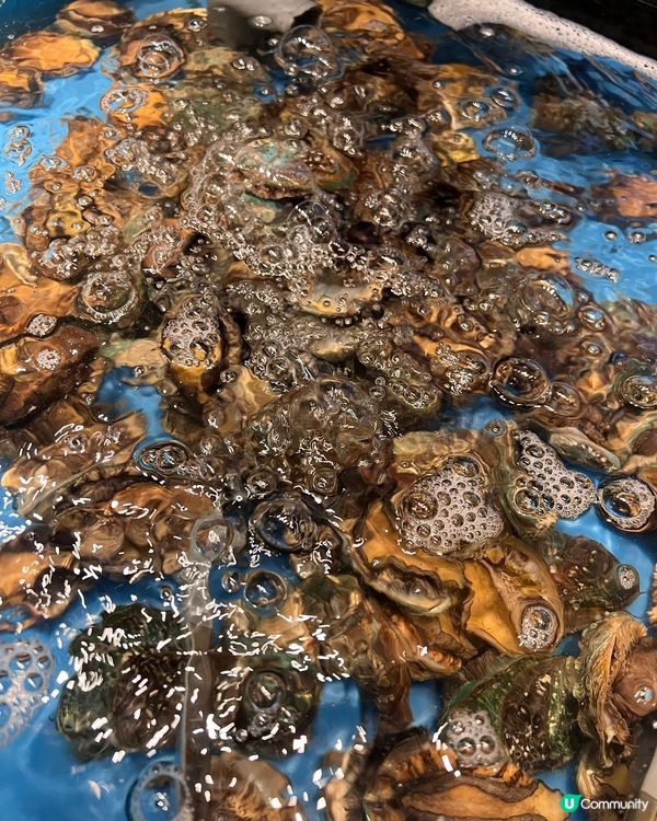 銅鑼灣新開任食放題🤤海鮮控必去🦀🦐