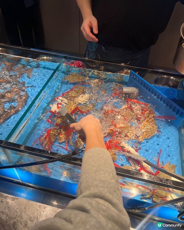 銅鑼灣新開任食放題🤤海鮮控必去🦀🦐