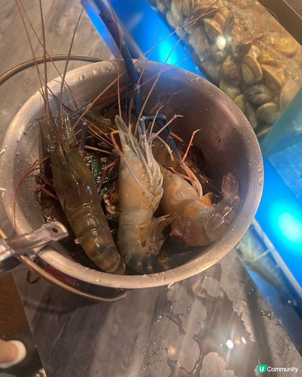 銅鑼灣新開任食放題🤤海鮮控必去🦀🦐
