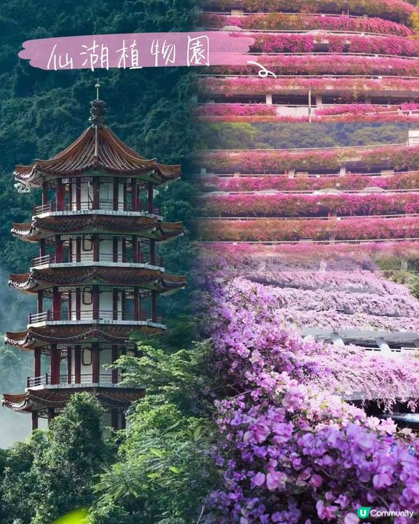 【港人週末北上懶人包】深圳蓮塘一日遊！⛰️🧖‍♀️😋