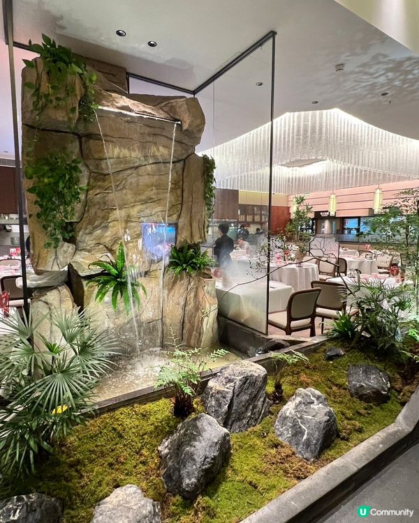 【40年非遺菊花宴🤤！味蕾大爆炸💥】