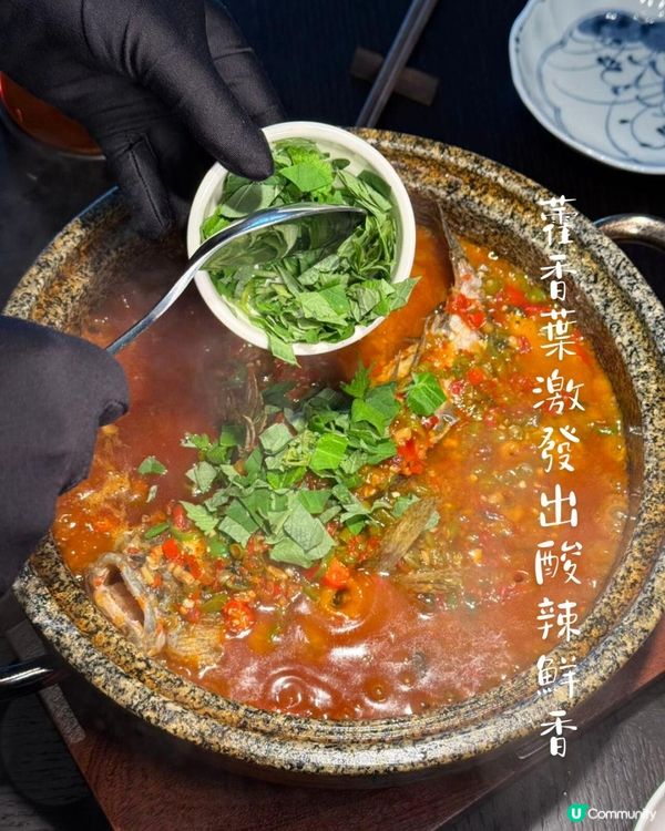 深圳灣一日遊路線｜港人北上週末新據點🌊