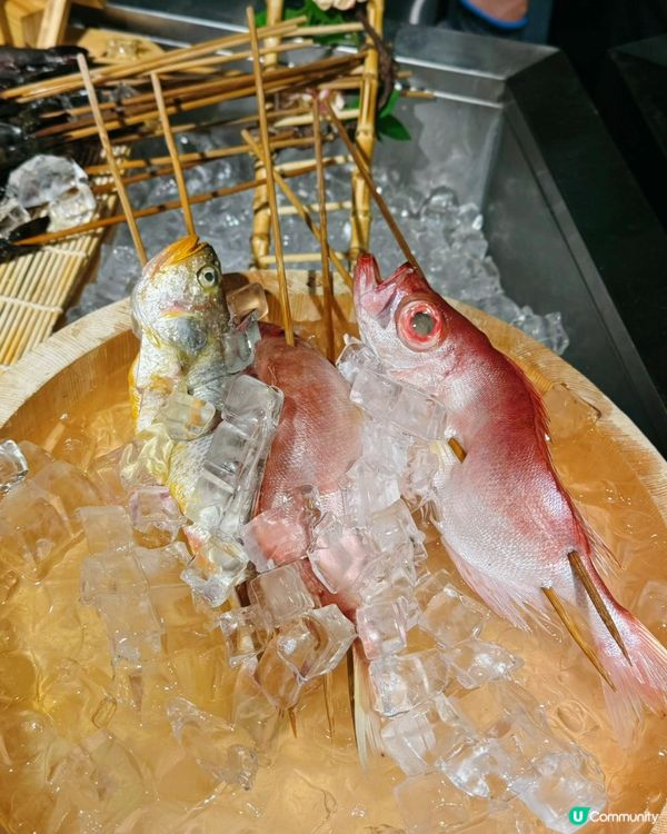 皇庭廣場新開燒烤！🤤 炭火香到爆！🔥