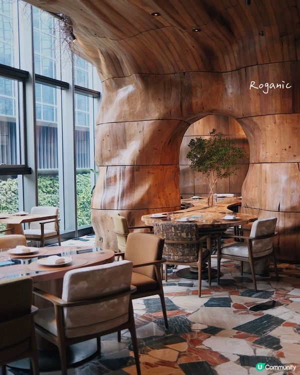 搬遷後的裝潢超美呢｜Roganic 🪵