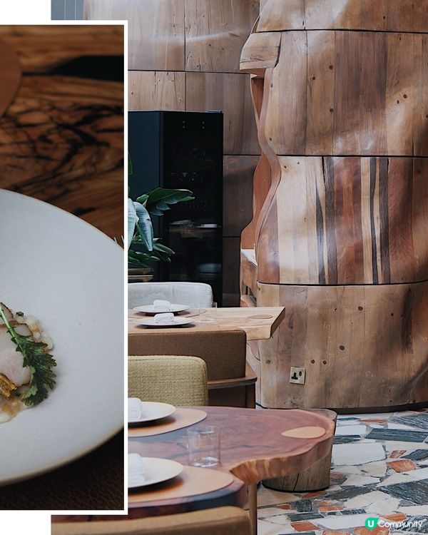 搬遷後的裝潢超美呢｜Roganic 🪵