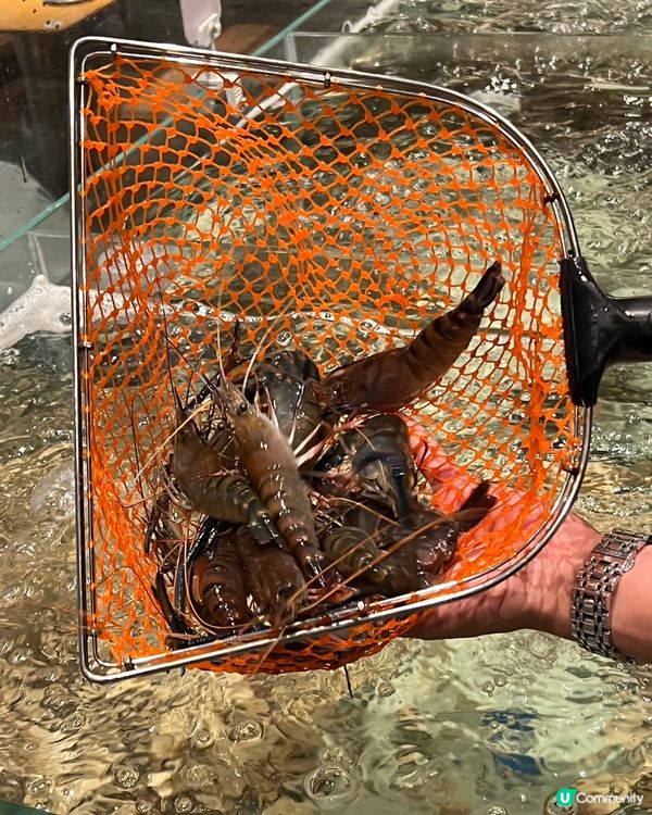 李小太羅湖店開張！2分鐘到深圳食海鮮燒烤🤤🔥