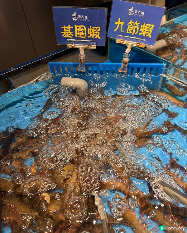 銅鑼灣新開任食放題🤤海鮮控必去🦀🦐