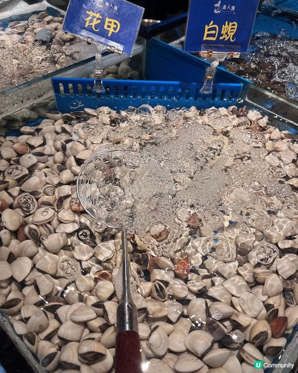 銅鑼灣新開任食放題🤤海鮮控必去🦀🦐