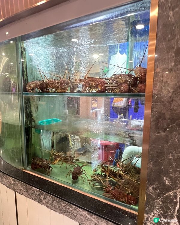 ☺️喜出望外羊腩煲片皮鴨中菜