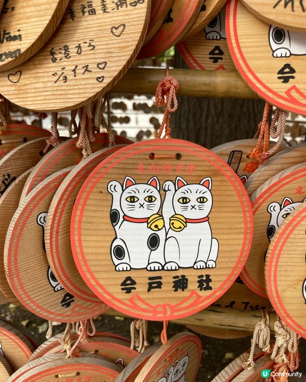 今戶神社求姻緣！招財貓發源地 😻 戀愛運UP!
