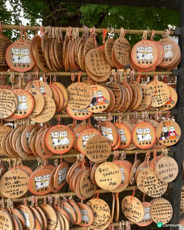 今戶神社求姻緣！招財貓發源地 😻 戀愛運UP!