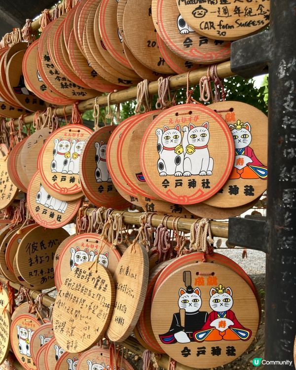 今戶神社求姻緣！招財貓發源地 😻 戀愛運UP!