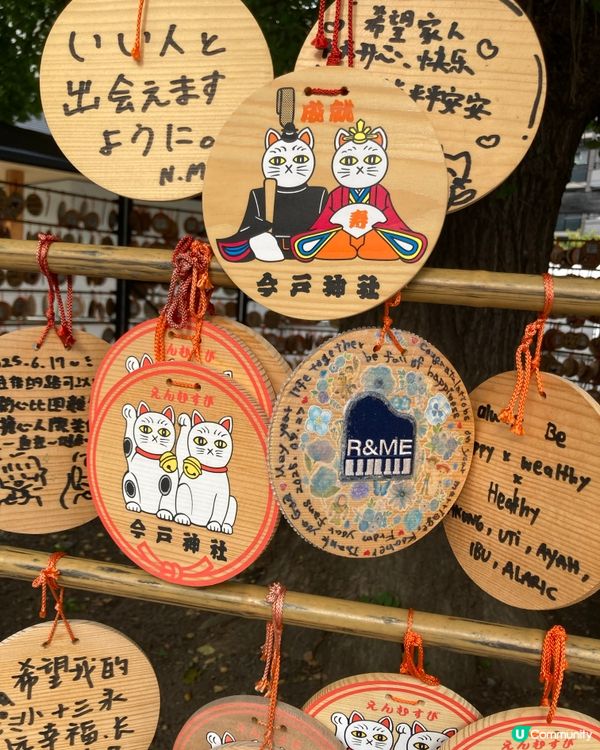 今戶神社求姻緣！招財貓發源地 😻 戀愛運UP!