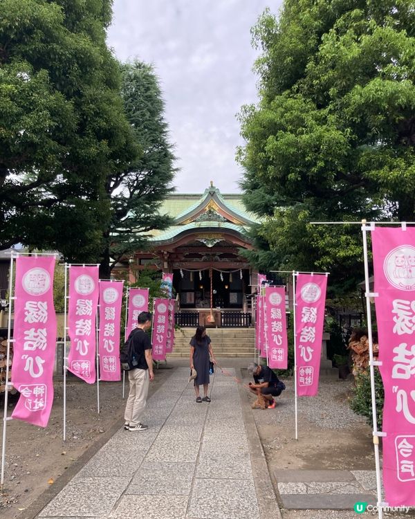 今戶神社求姻緣！招財貓發源地 😻 戀愛運UP!