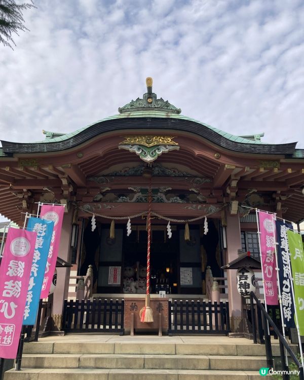今戶神社求姻緣！招財貓發源地 😻 戀愛運UP!