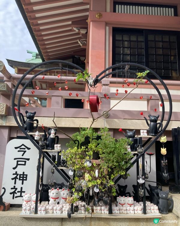 今戶神社求姻緣！招財貓發源地 😻 戀愛運UP!
