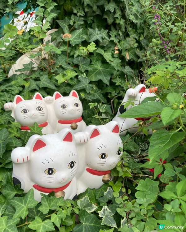 今戶神社求姻緣！招財貓發源地 😻 戀愛運UP!