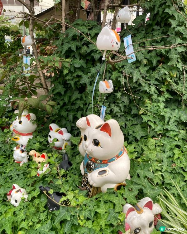 今戶神社求姻緣！招財貓發源地 😻 戀愛運UP!