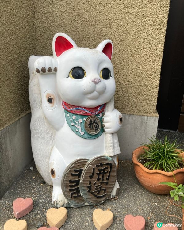 今戶神社求姻緣！招財貓發源地 😻 戀愛運UP!