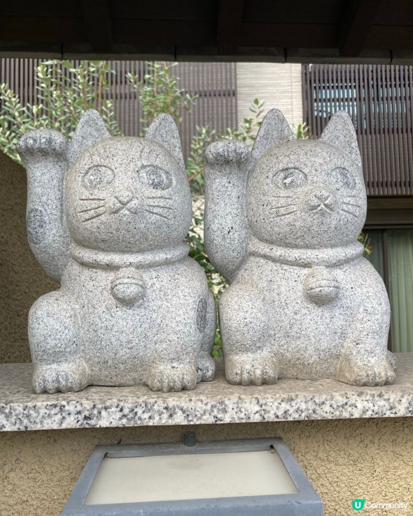 今戶神社求姻緣！招財貓發源地 😻 戀愛運UP!