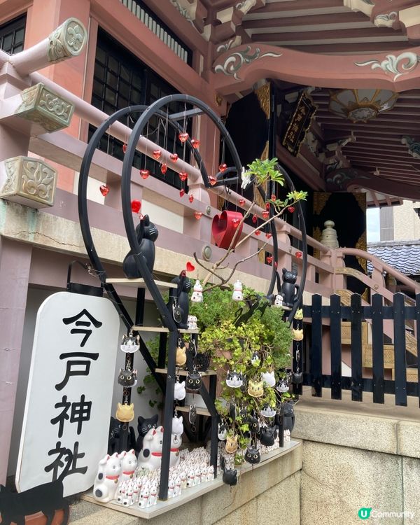 今戶神社求姻緣！招財貓發源地 😻 戀愛運UP!