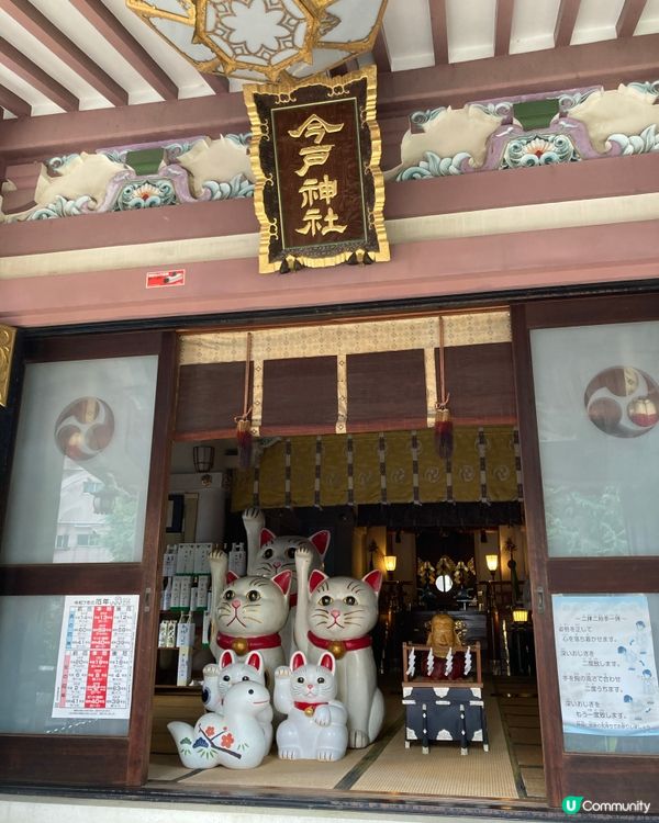 今戶神社求姻緣！招財貓發源地 😻 戀愛運UP!