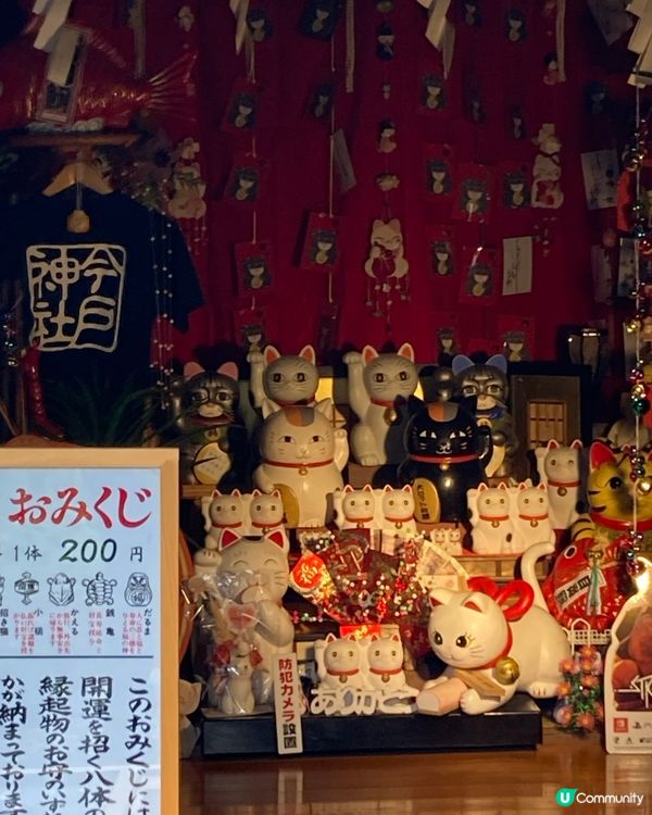 今戶神社求姻緣！招財貓發源地 😻 戀愛運UP!