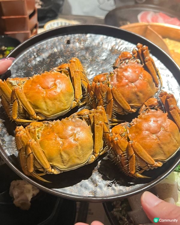 🍲日本A4黑毛和牛食到飽