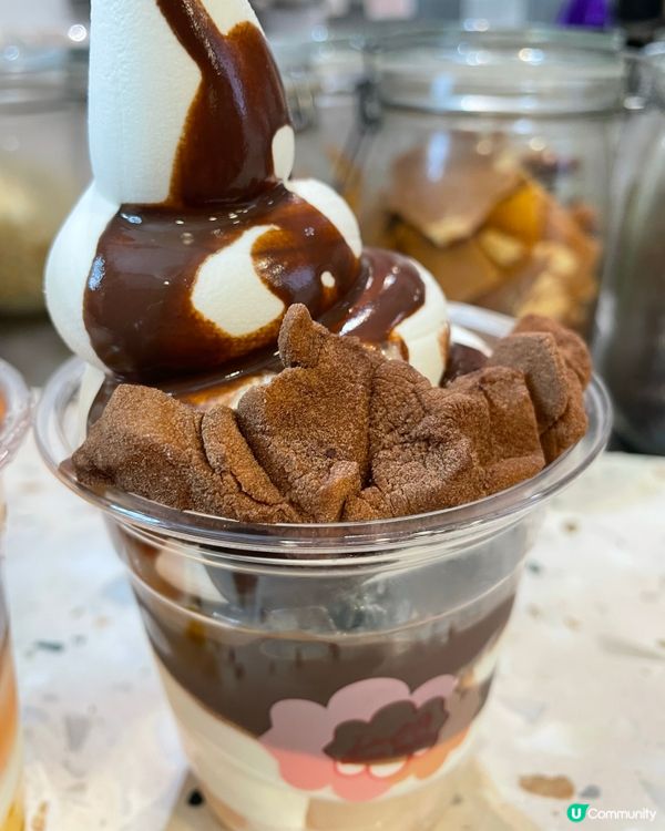 水準穩定 🍦健康乳酪雪糕