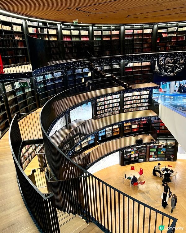 『英國』伯明翰必去｜圖書館內隱藏秘境花園🌿！