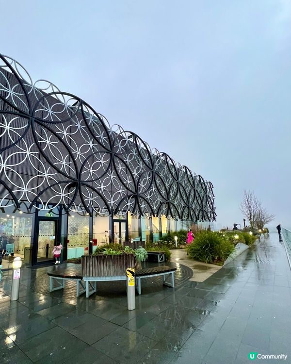 『英國』伯明翰必去｜圖書館內隱藏秘境花園🌿！