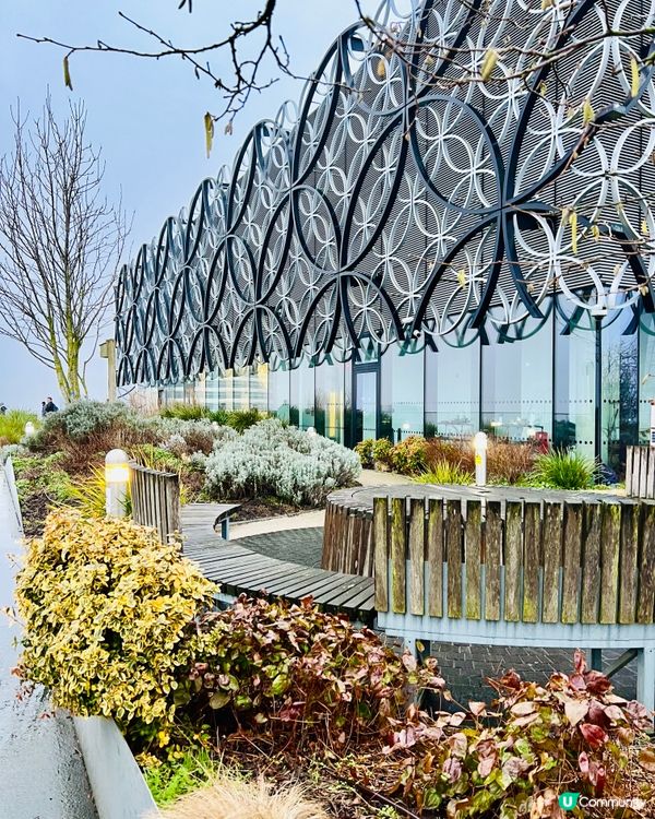 『英國』伯明翰必去｜圖書館內隱藏秘境花園🌿！